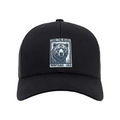 Feed the Bears Snapback