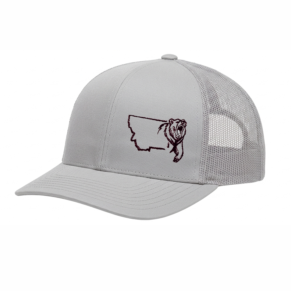 WestFace Bear Snapback
