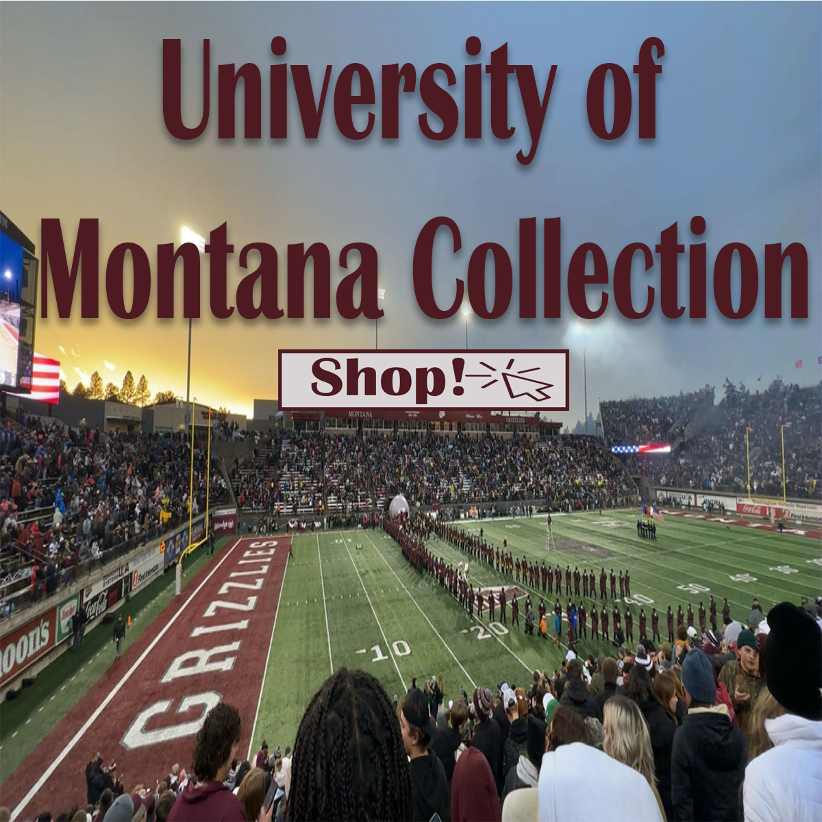 My Montana Roots