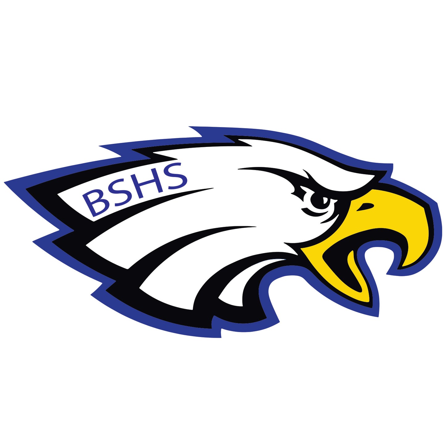 BigSky Eagles