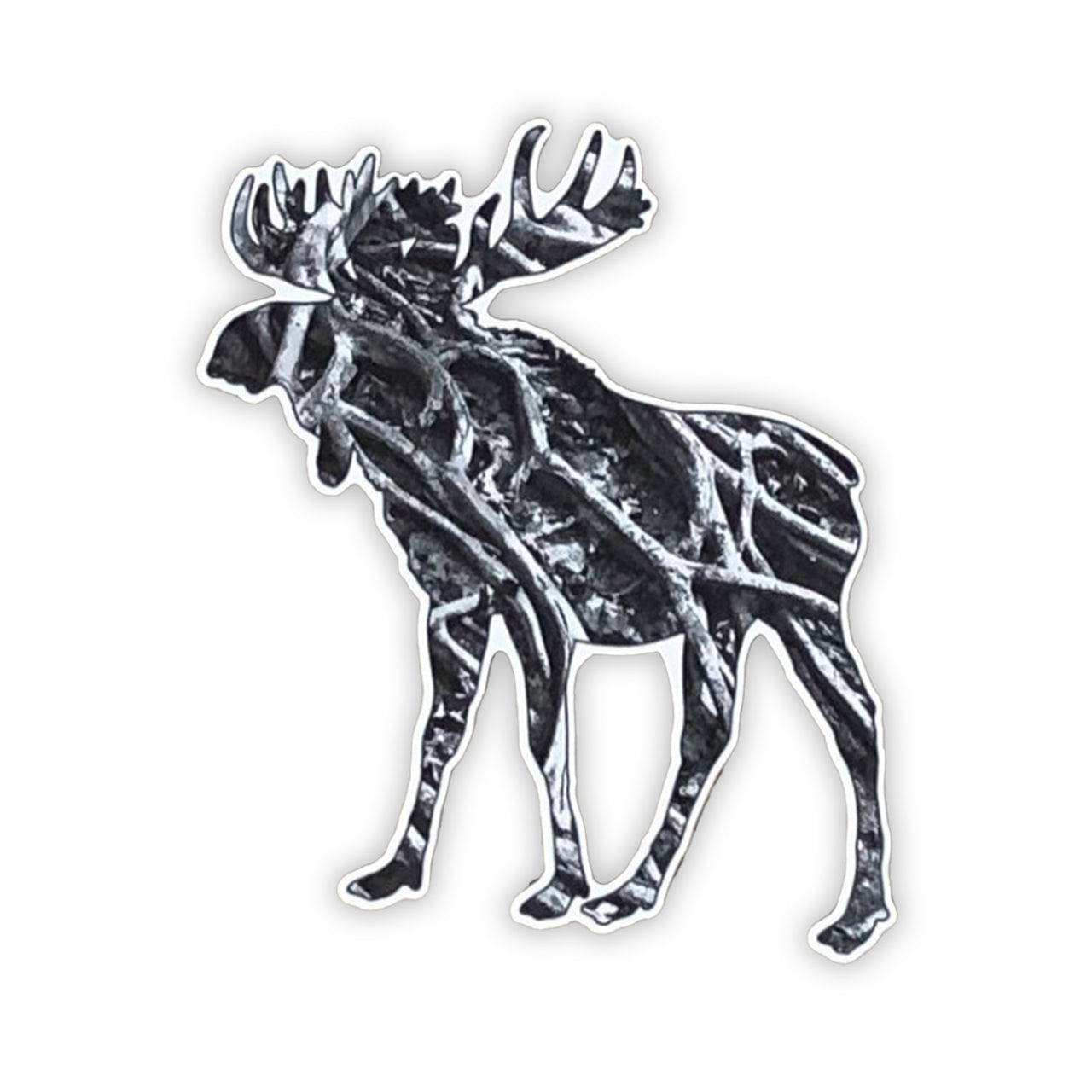 Wildlife Roots Sticker