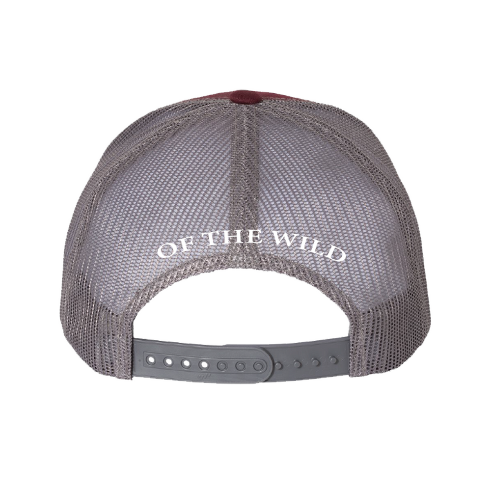 
                  
                    Brawl of the Wild Mesh Hat
                  
                