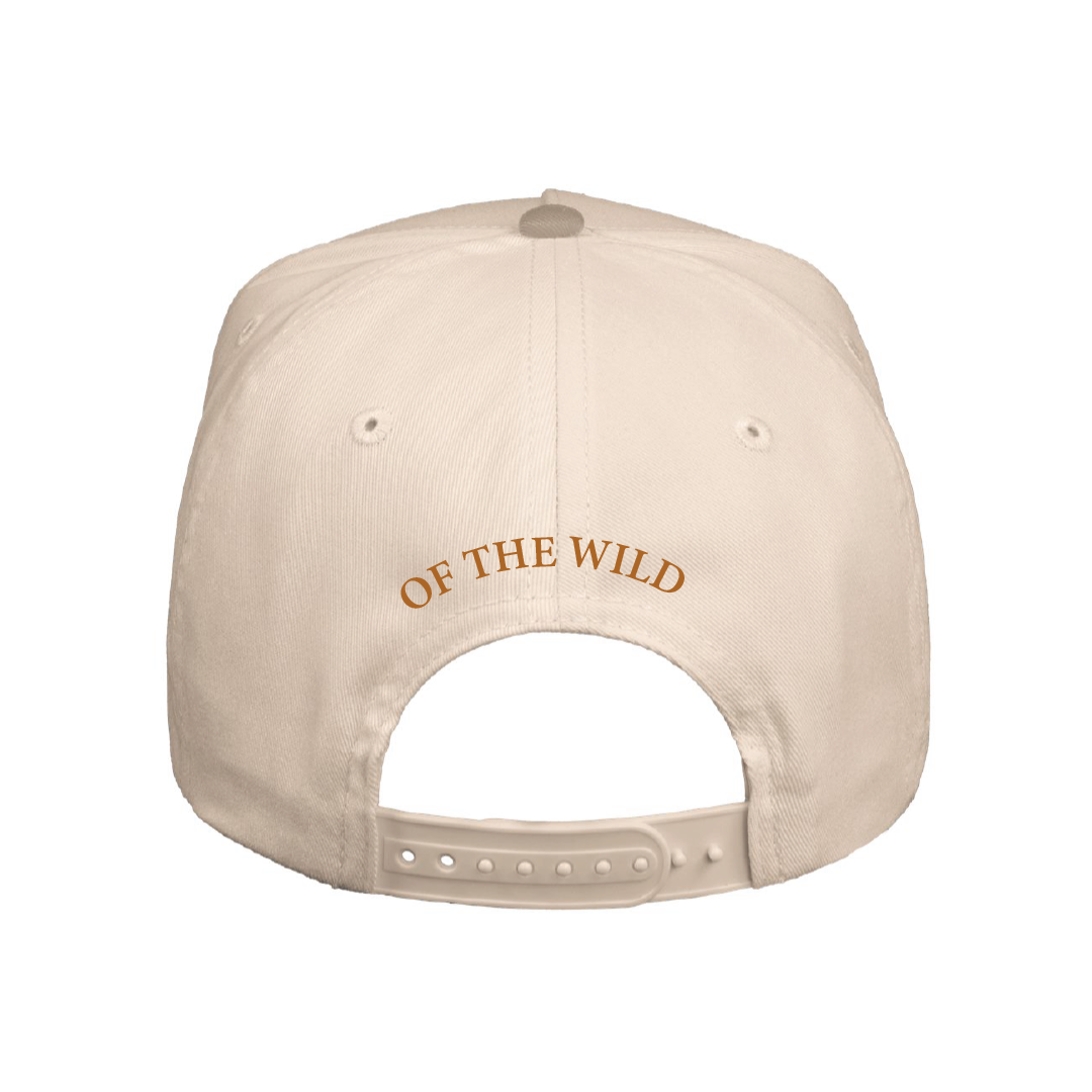 
                  
                    Brawl of the Wild 5 Panel
                  
                