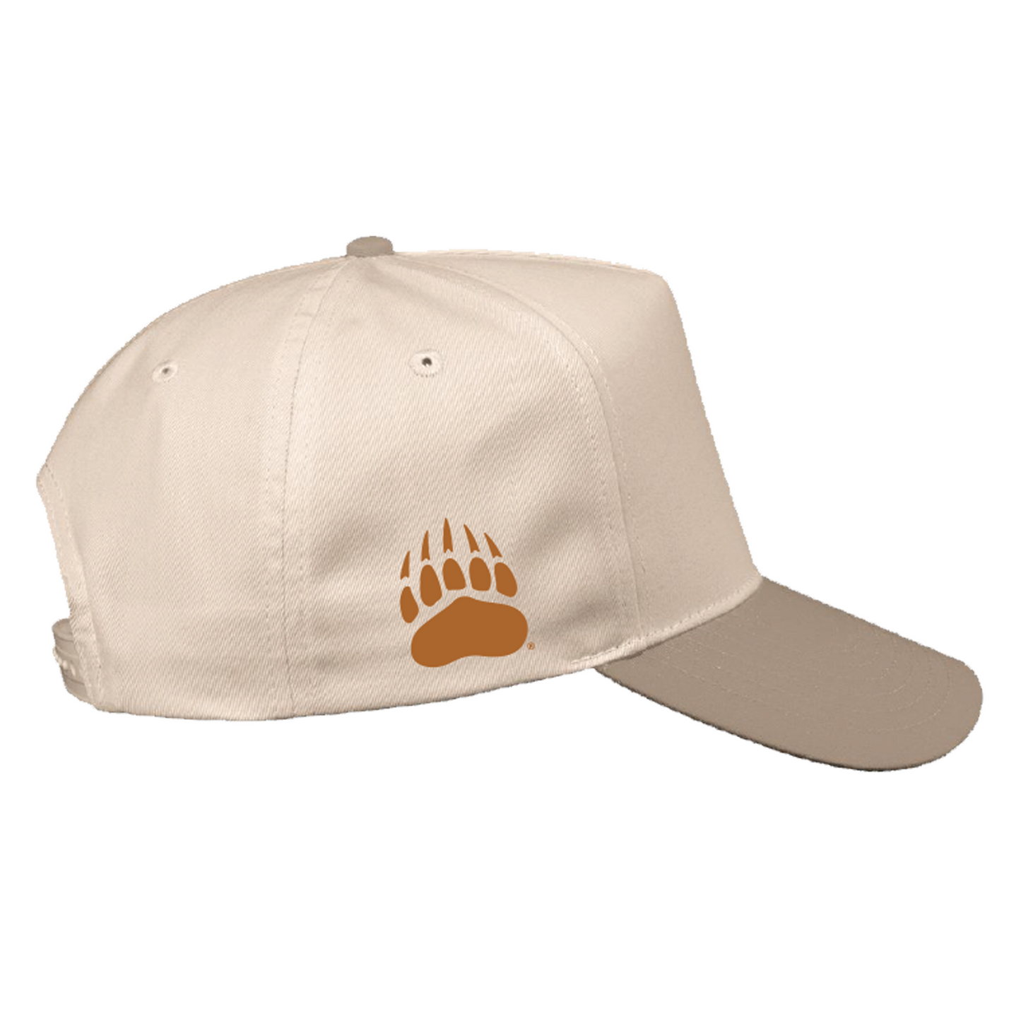 
                  
                    Brawl of the Wild 5 Panel
                  
                