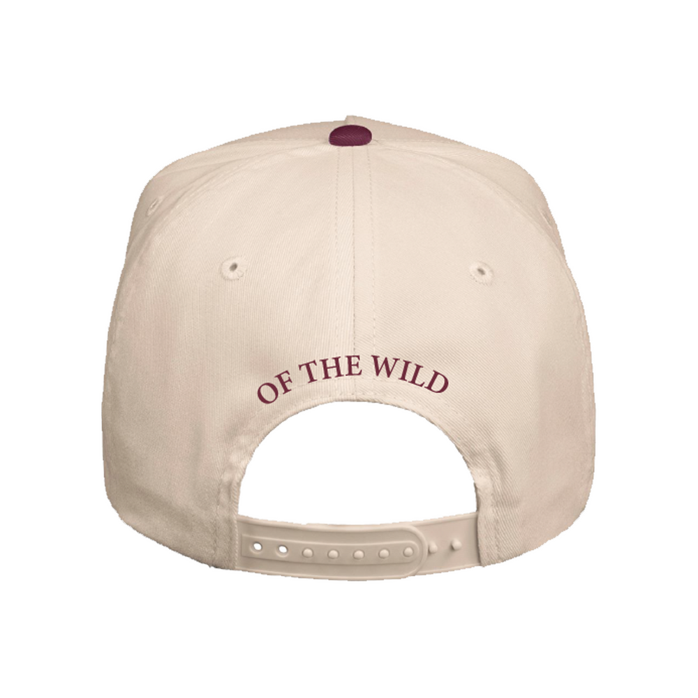 
                  
                    Brawl of the Wild 5 Panel
                  
                