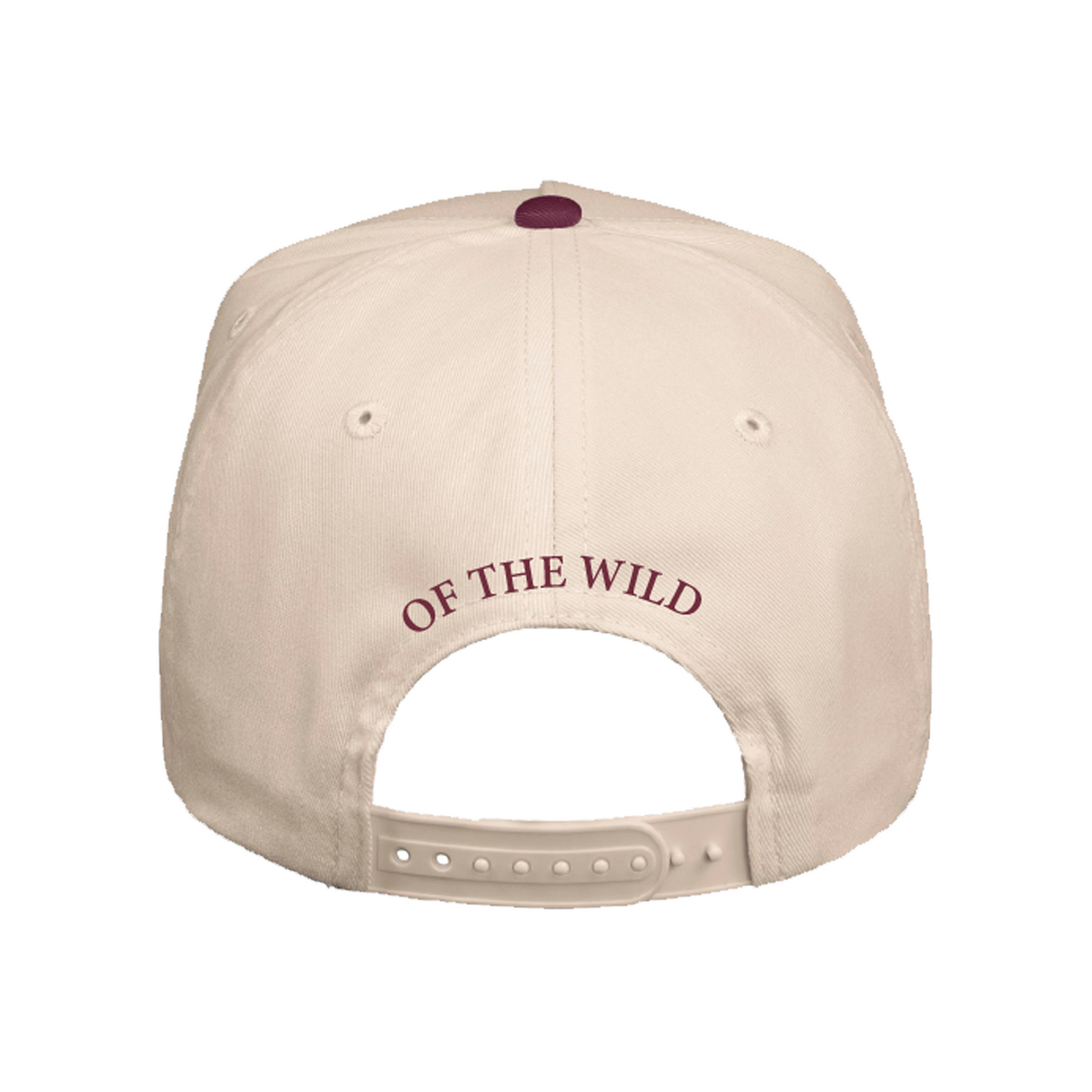 
                  
                    Brawl of the Wild 5 Panel
                  
                