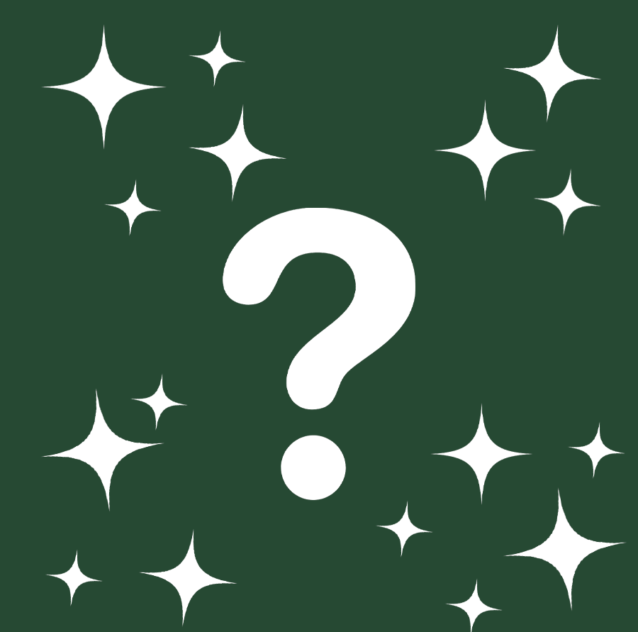 $10 Mystery Unisex Tee