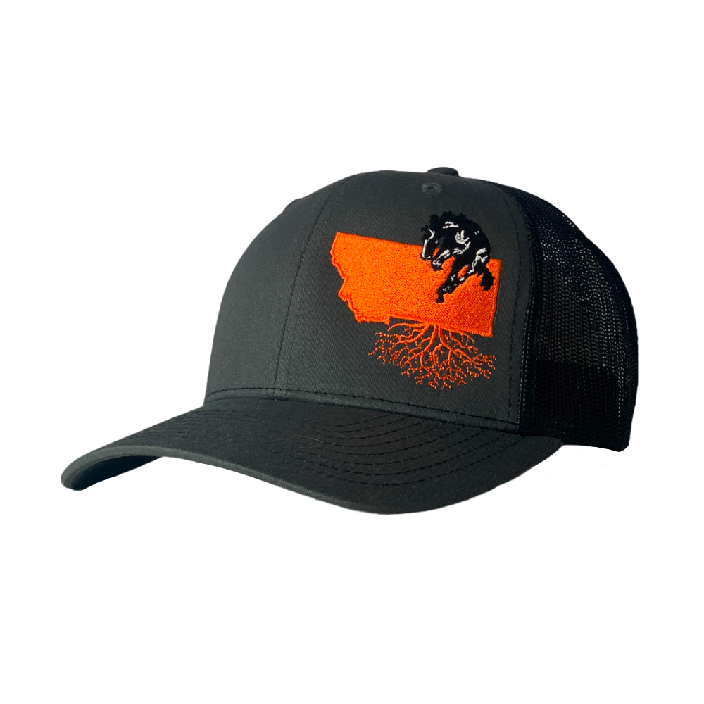 Frenchtown Broncs Snapback Hat